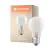 Ledvance Classic LED E27 Peer Filament Mat 4W 470lm - 840 Koel Wit | Vervangt 40W